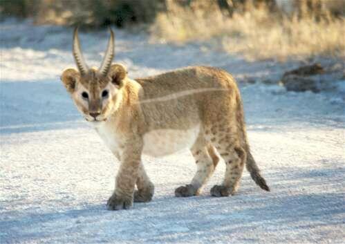 Diseño de Photoshop por NaughtyT para DesignCrowd (Community Contests) | Diseño #9113913