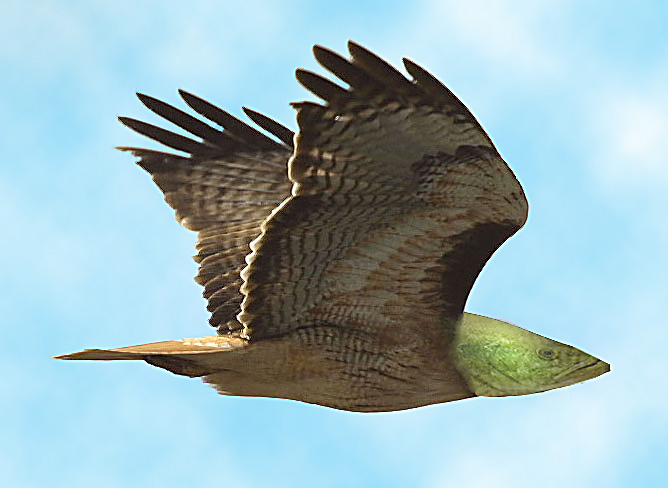 Photoshop Design by MitchPix for DesignCrowd (Community Contests) | Design #9114033