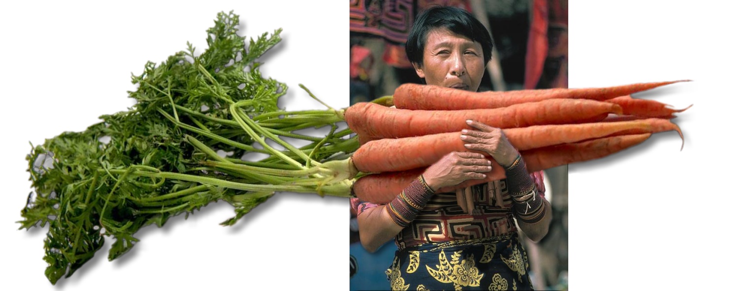 Photoshop Design by Tommy1de for DesignCrowd (Community Contests) | Design #9138689