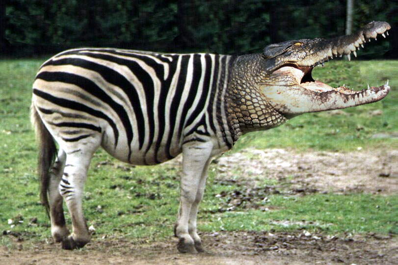 Photoshop Design by Dunga2_BANNED for DesignCrowd (Community Contests) | Design #9113975