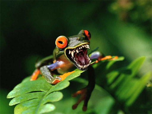 Photoshop Design by PiphazFred for DesignCrowd (Community Contests) | Design #9114047