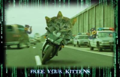 Photoshop Design by cswatco