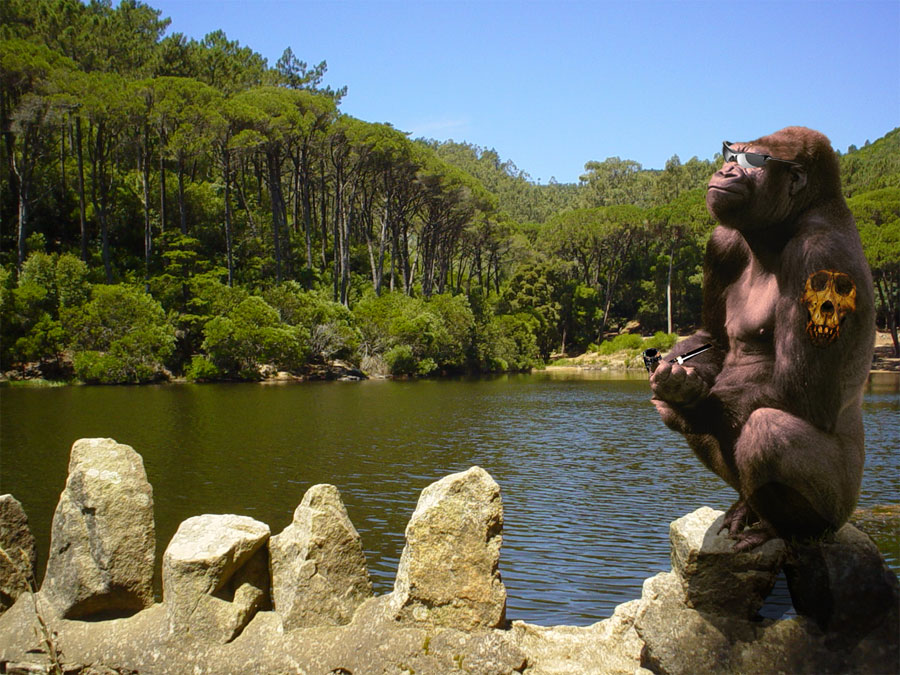 Design Photoshop par Dunga2_BANNED pour DesignCrowd (Community Contests) | Design #9117499