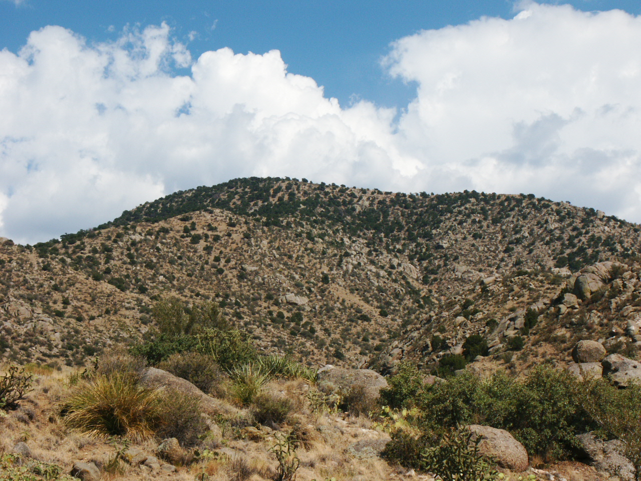 Photography by Vincent for DesignCrowd (Community Contests) | Design #9116914