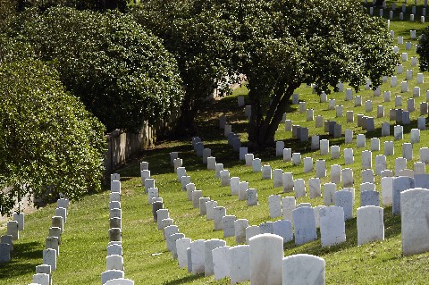 Photography by sns1953 for DesignCrowd (Community Contests) | Design #9116979