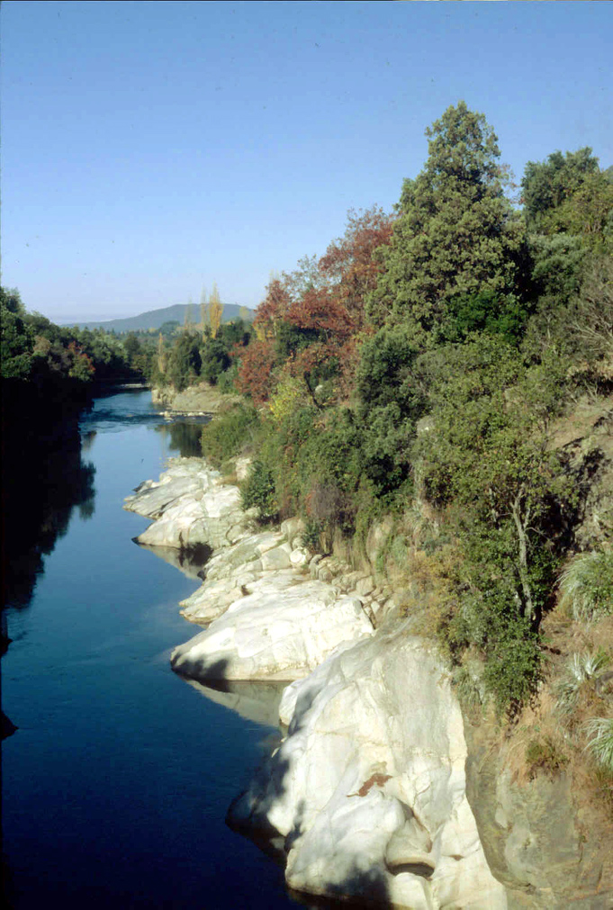 Fotografía por szekely6 para DesignCrowd (Community Contests) | Diseño #9116923