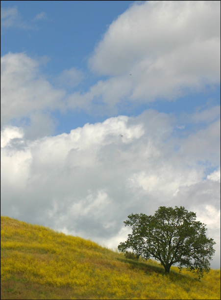 Fotografie von Fascha für DesignCrowd (Community Contests) | Design #9117065