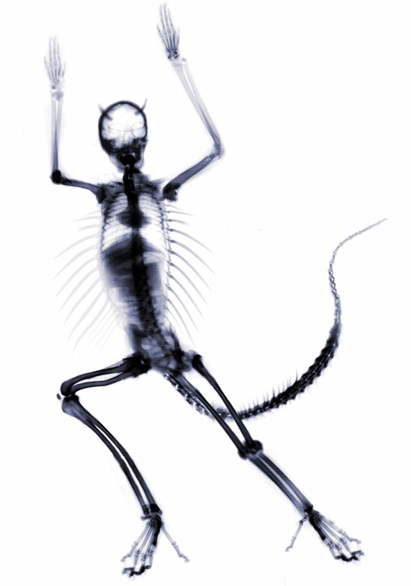 Design Photoshop par Jolt pour DesignCrowd (Community Contests) | Design #9140474