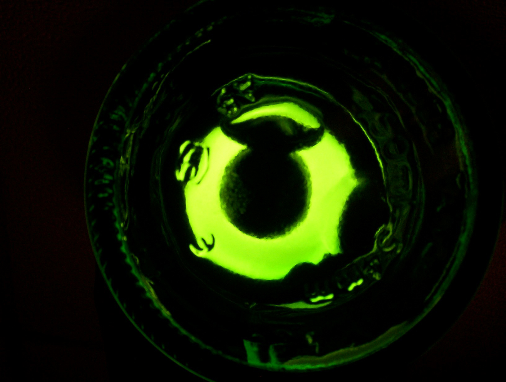 Photography by Redstar for DesignCrowd (Community Contests) | Design #9145429