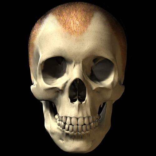 Photoshop Design by tiddlycove for DesignCrowd (Community Contests) | Design #9140529