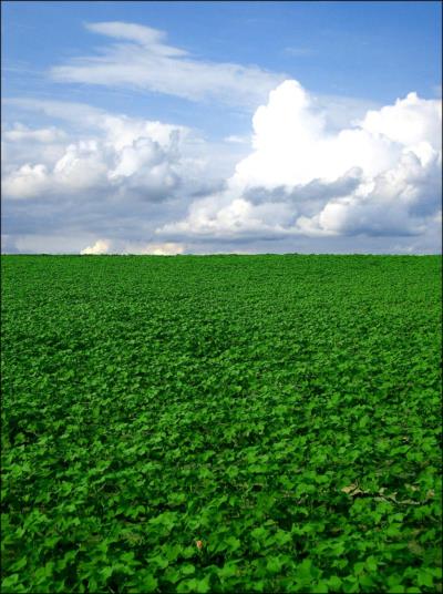 Photography by Puffnasty