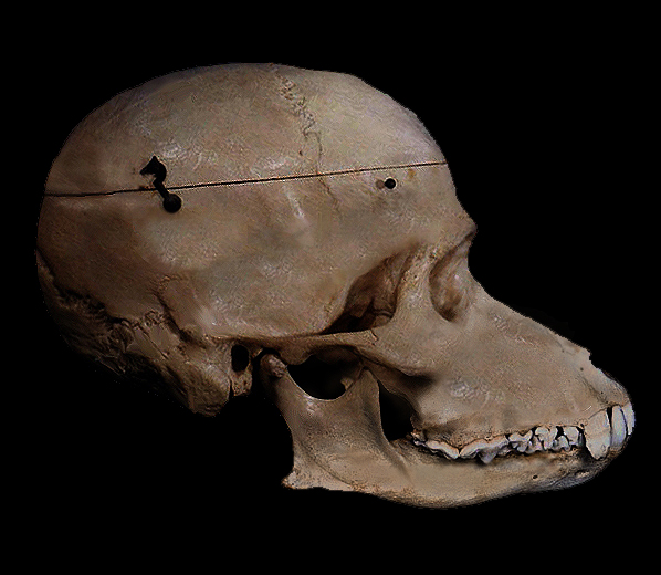 Photoshop Design by bigbadsi for DesignCrowd (Community Contests) | Design #9140603