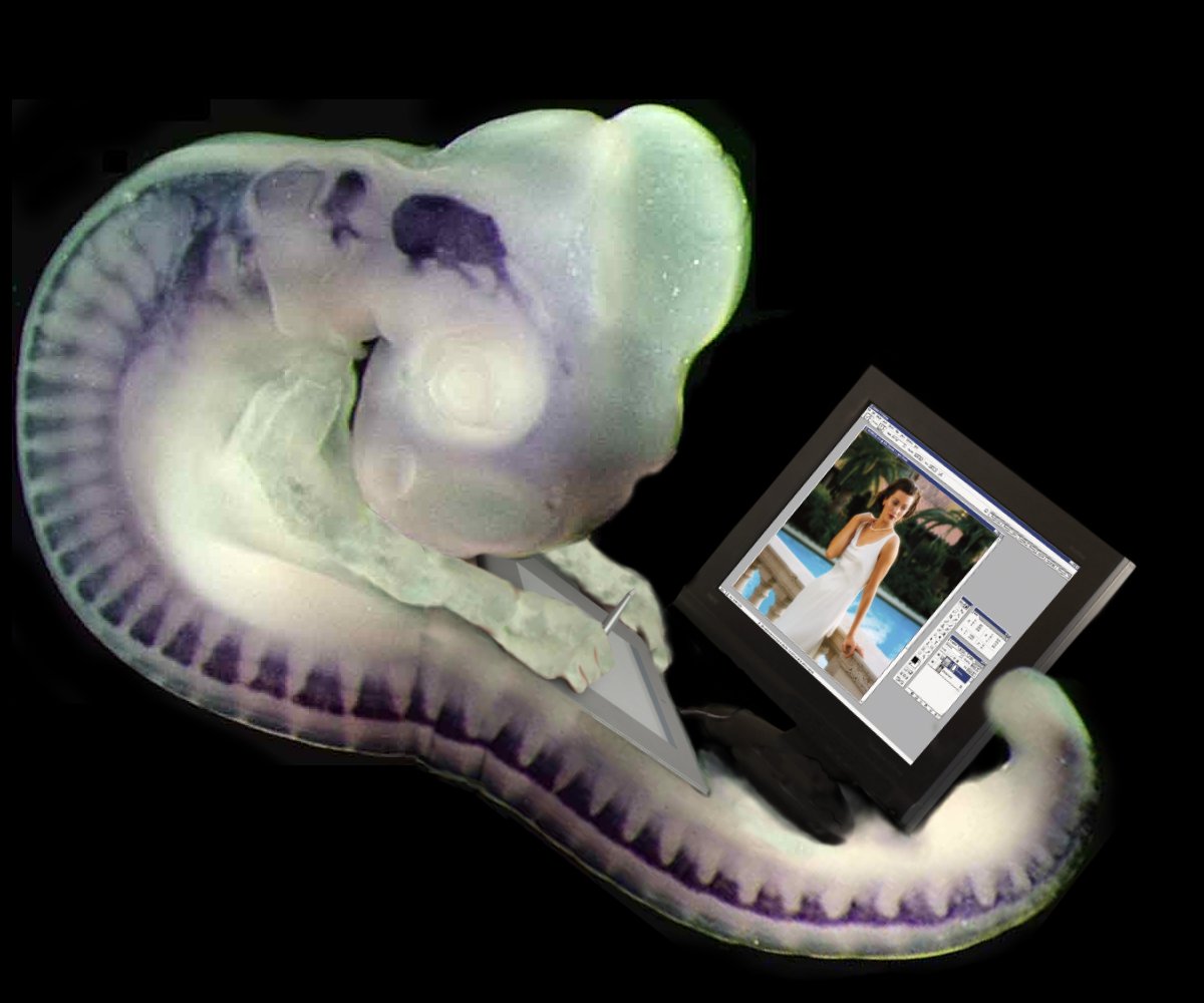 Photoshop-Design von Garsaelon für DesignCrowd (Community Contests) | Design #9140539