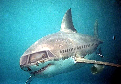 Photoshop Design by rdk for DesignCrowd (Community Contests) | Design #9138174