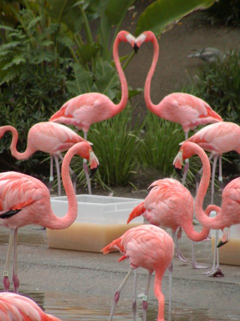 Photoshop Design by The_Juiceman for DesignCrowd (Community Contests) | Design #9138280