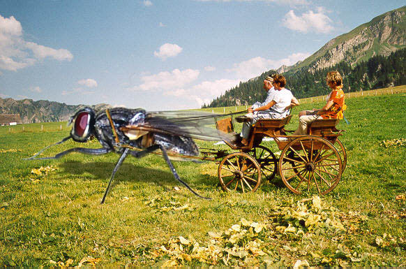 Photoshop Design by xTOTO62x for DesignCrowd (Community Contests) | Design #9138198