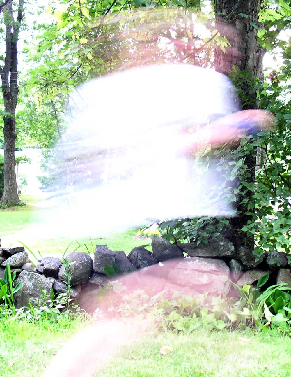 Photography by Spork_of_doom for DesignCrowd (Community Contests) | Design #9144622