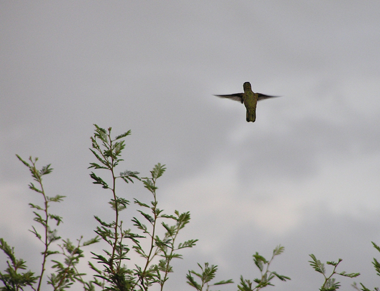 Fotografie von spfstr für DesignCrowd (Community Contests) | Design #9144663