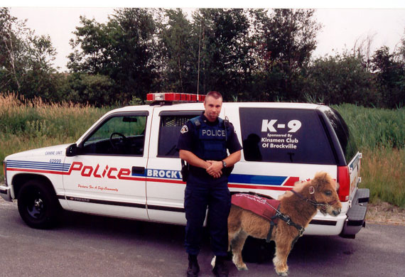 Photoshop Design by RealMeert for DesignCrowd (Community Contests) | Design #9144392