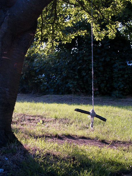 Photography by Trinity-of-One for DesignCrowd (Community Contests) | Design #9115795