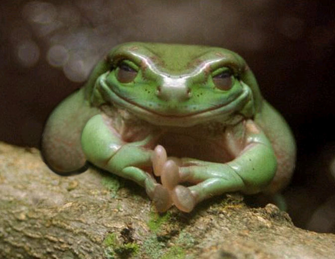 Photoshop-Design von MadamXelda für DesignCrowd (Community Contests) | Design #9140084