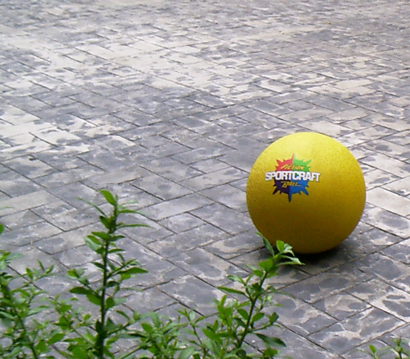 Fotografía por scottyd para DesignCrowd (Community Contests) | Diseño #9115824