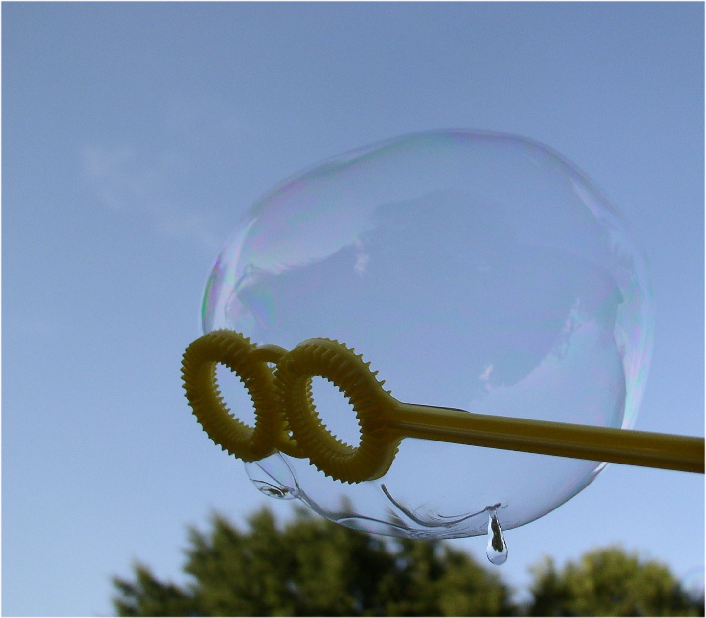 Photographie par CSC10000 pour DesignCrowd (Community Contests) | Design #9115830