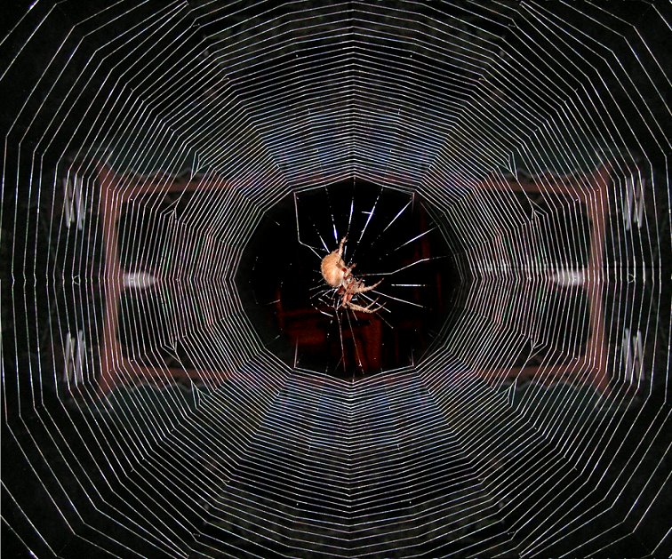 Photoshop Design by Tommy1de for DesignCrowd (Community Contests) | Design #9140115