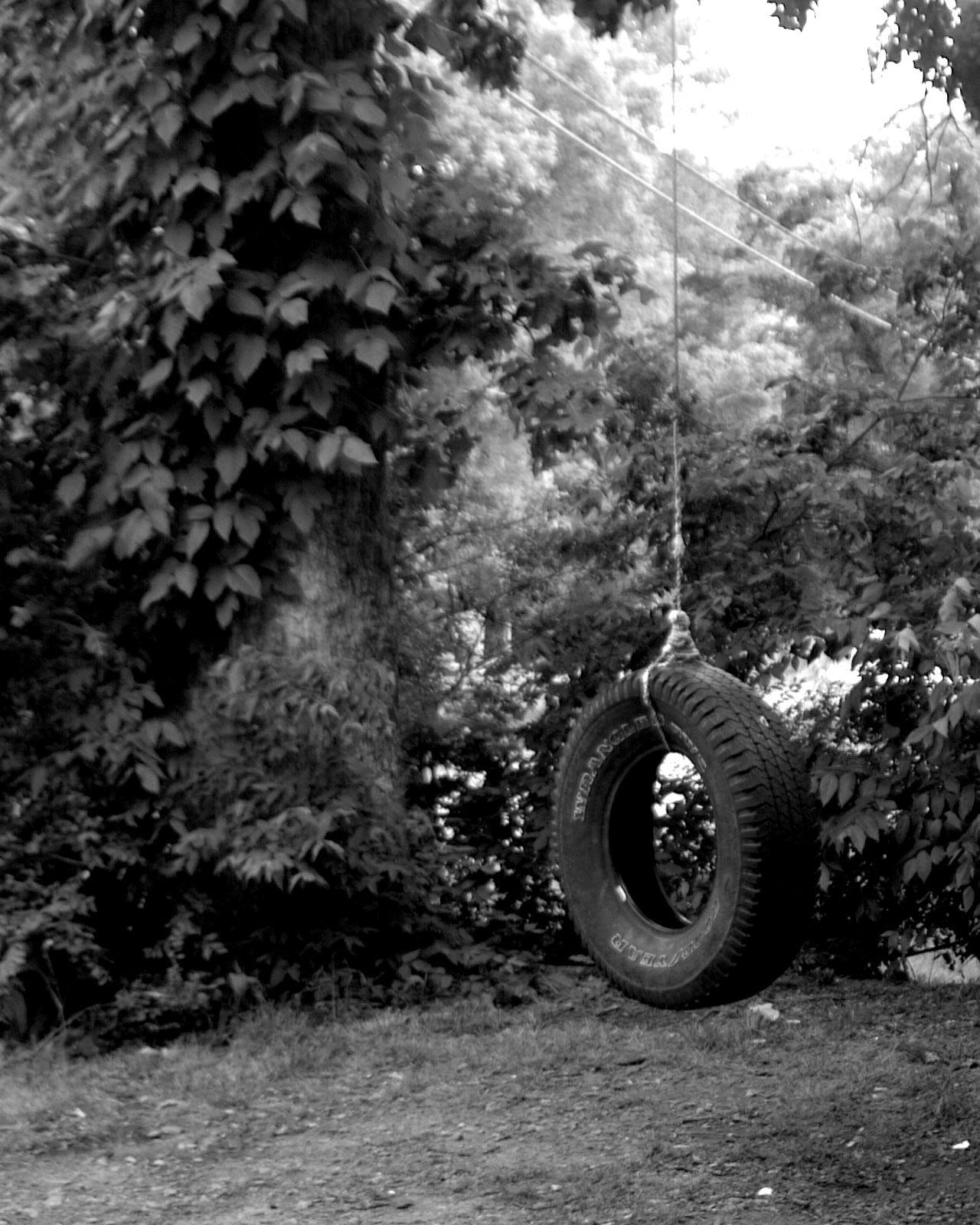 Photographie par HeatherHostage pour DesignCrowd (Community Contests) | Design #9115821