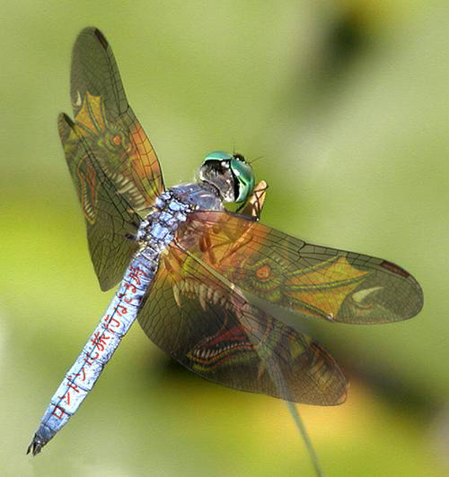 Photoshop Design by kintaru for DesignCrowd (Community Contests) | Design #9141385