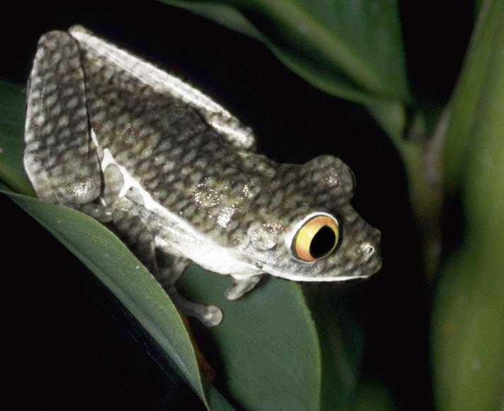 Photoshop Design by hektor for DesignCrowd (Community Contests) | Design #9141395