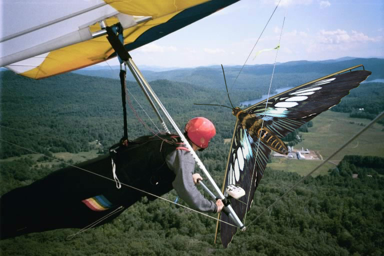 Photoshop-Design von Stephie für DesignCrowd (Community Contests) | Design #9141382