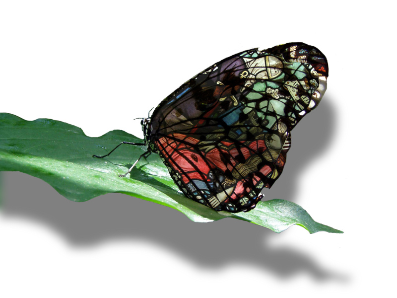 Photoshop Design by TBob57 for DesignCrowd (Community Contests) | Design #9141452