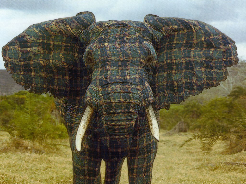 Photoshop Design by msleading for DesignCrowd (Community Contests) | Design #9141434