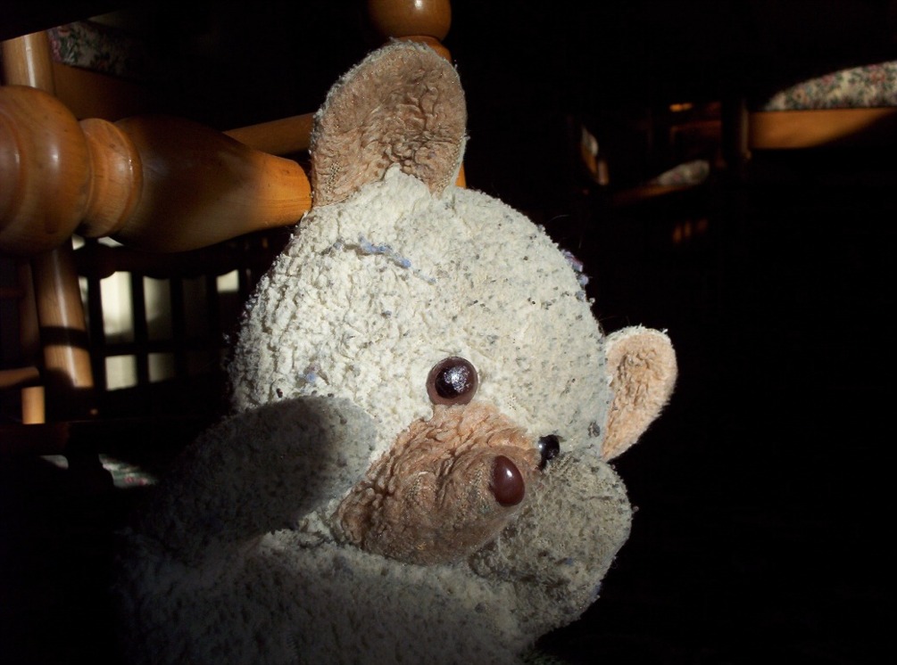 Photography by Spook for DesignCrowd (Community Contests) | Design #9115864