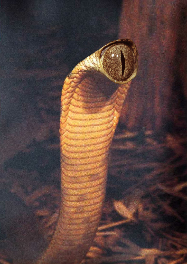 Photoshop-Design von Maraxus für DesignCrowd (Community Contests) | Design #9137507