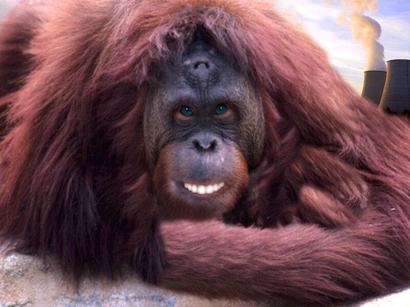 Photoshop Design by canovaca for DesignCrowd (Community Contests) | Design #9137648