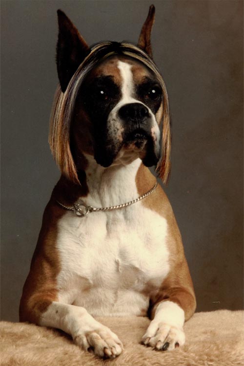 Diseño de Photoshop por kzk666 para DesignCrowd (Community Contests) | Diseño #9137672