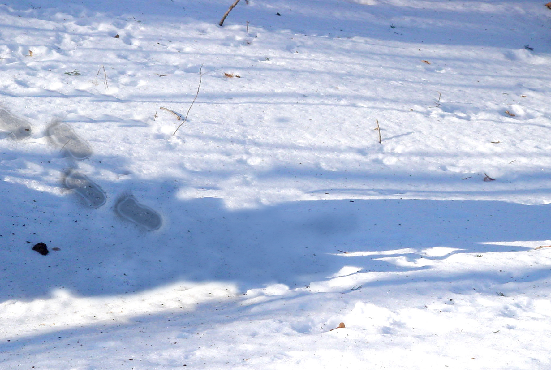 Photoshop-Design von axwear für DesignCrowd (Community Contests) | Design #9137773