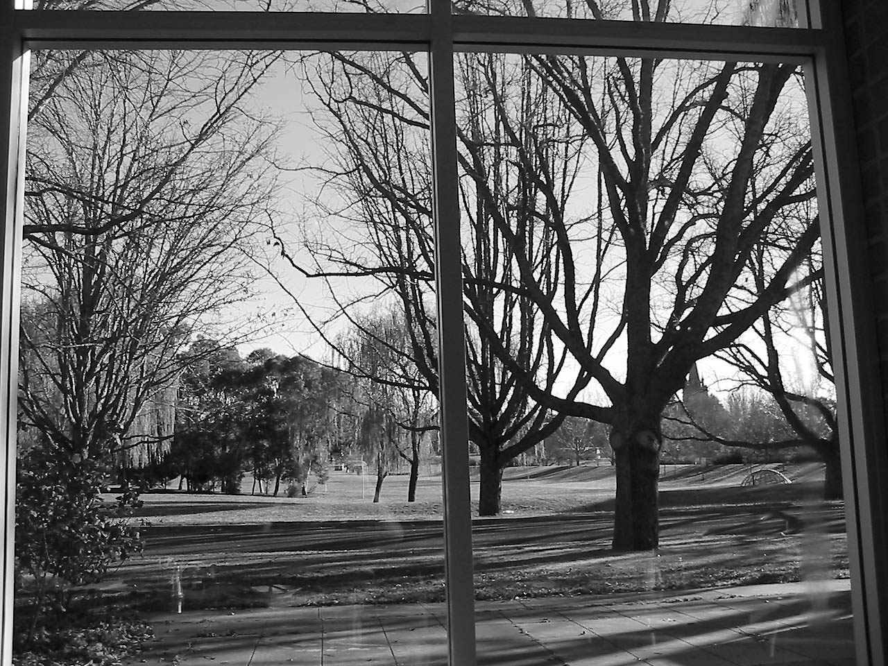 Fotografie von gbur für DesignCrowd (Community Contests) | Design #9123955