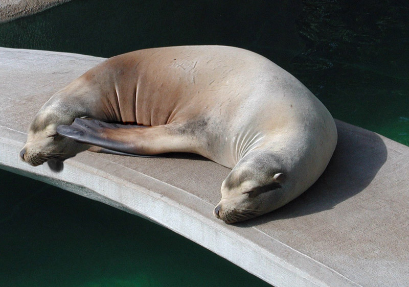 Photoshop Design by hipnoart for DesignCrowd (Community Contests) | Design #9137624