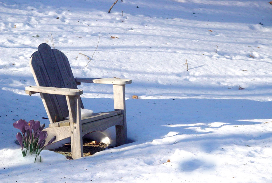 Photoshop-Design von MadamXelda für DesignCrowd (Community Contests) | Design #9137788