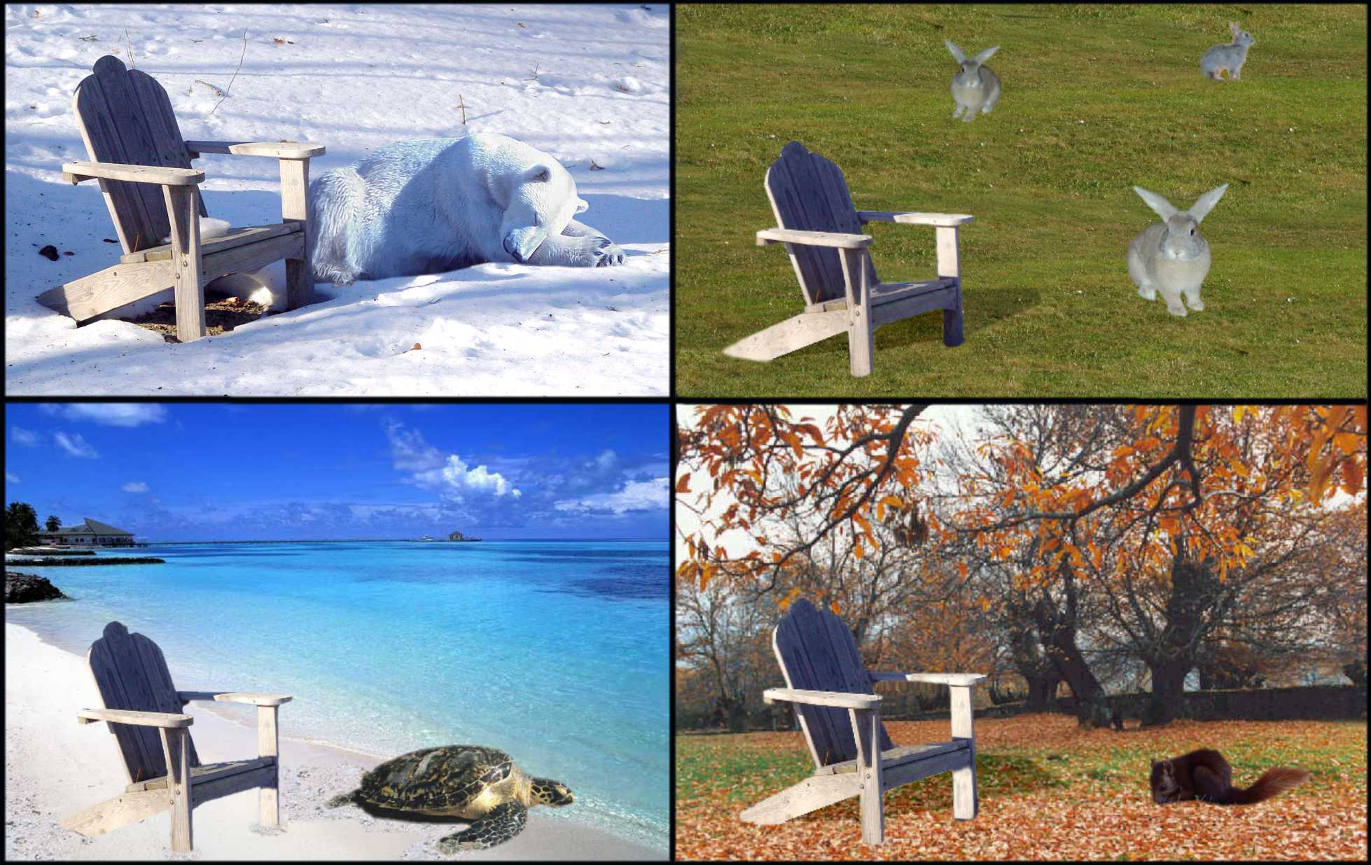 Design Photoshop par canovaca pour DesignCrowd (Community Contests) | Design #9137803