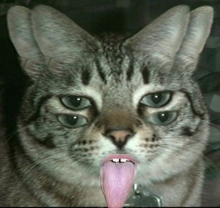 Diseño de Photoshop por TimeTraveler para DesignCrowd (Community Contests) | Diseño #9137818