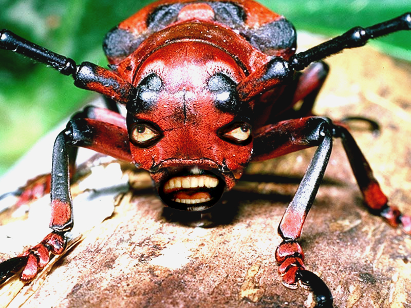 Photoshop-Design von RussoCC für DesignCrowd (Community Contests) | Design #9137834