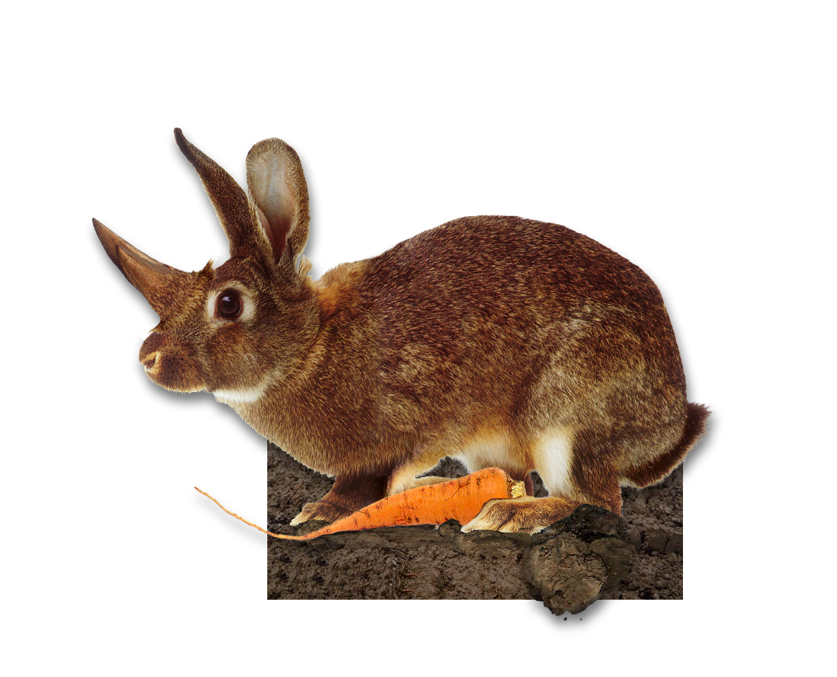 Design Photoshop par Redstar pour DesignCrowd (Community Contests) | Design #9137726