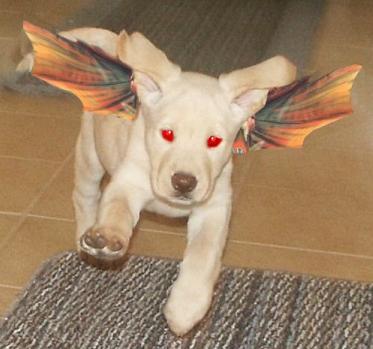 Photoshop Design by NaughtyT for DesignCrowd (Community Contests) | Design #9137714