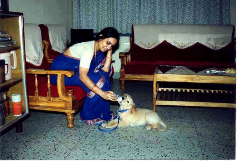 Fotografía por vgmn1956 para DesignCrowd (Community Contests) | Diseño #9115980