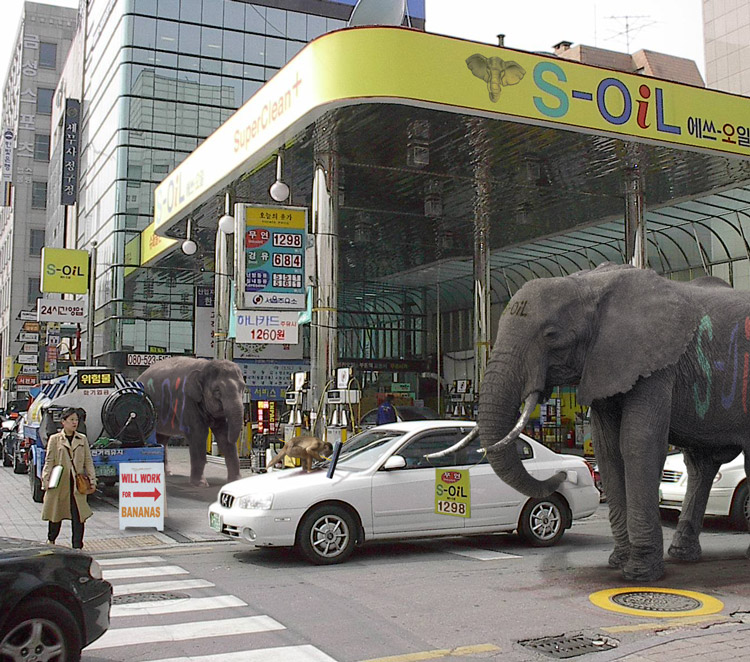 Design Photoshop par PerezDesignGroup pour DesignCrowd (Community Contests) | Design #9141104