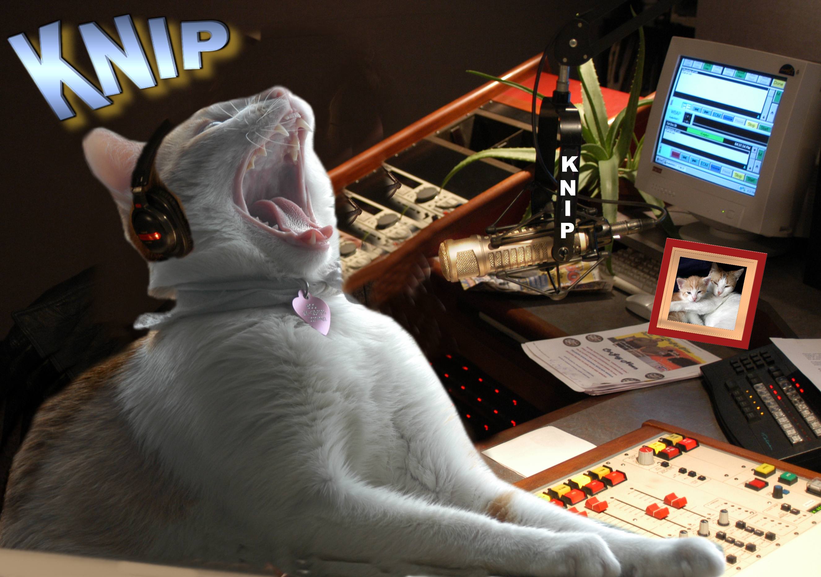 Design Photoshop par Silverkatt pour DesignCrowd (Community Contests) | Design #9141107